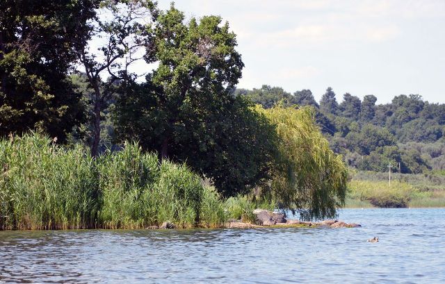 L 'Associazione lago di Bolsena sostiene il progetto del Biodistretto  relativo alla rinaturalizzazione delle rive